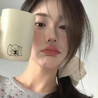公主复仇者